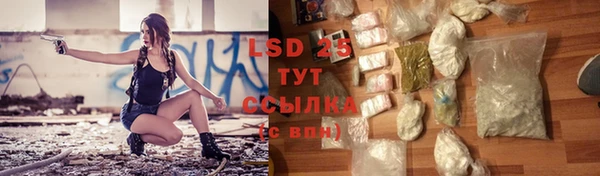 стаф Алексин