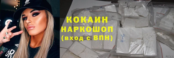 шишки Алзамай