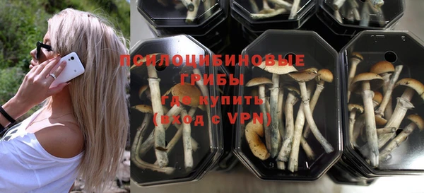 шишки Алзамай