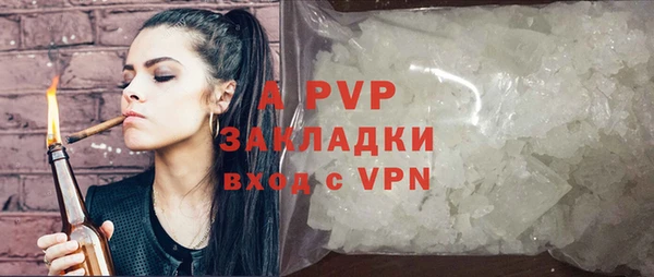 стаф Алексин