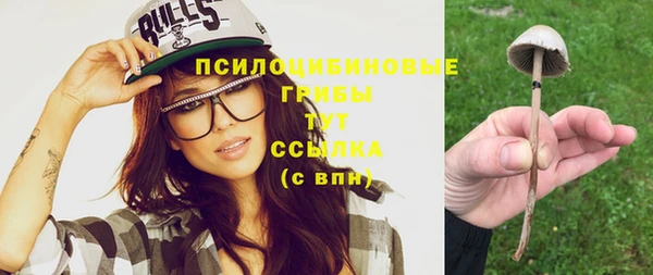 стаф Алексин